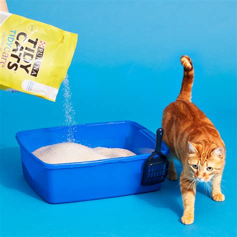 The Best Natural Cat Litter of 2024, Tested and Reviewed.